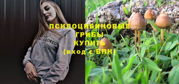 ECSTASY Заводоуковск