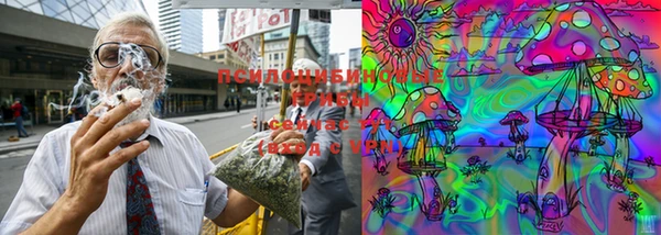 мяу мяу кристалл Ельня