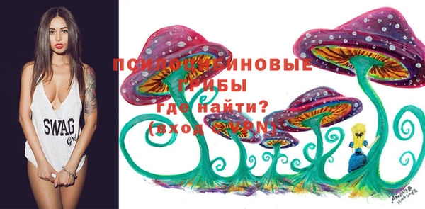 меф Заволжск