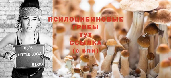 Альфа ПВП Елабуга